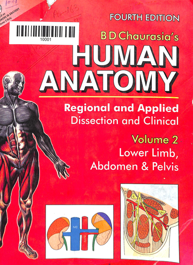 Human Anatomy