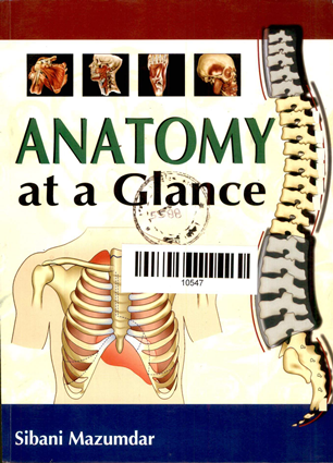 Anatomy At  A Glance