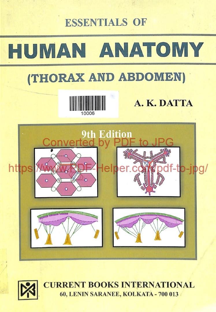 ESSENTIALS OF HUMAN ANATONY (THORAX  AND ABDOMEN)