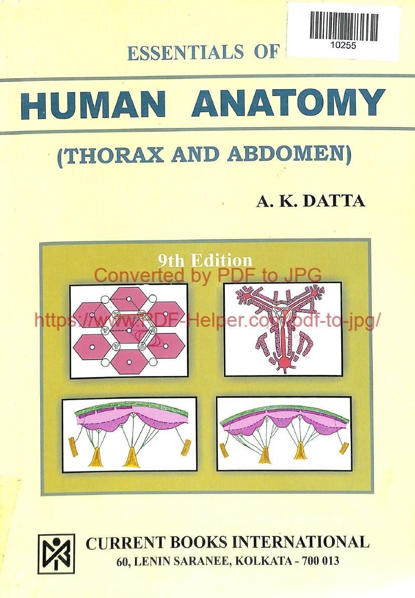 ESSENTIALS OF HUMAN ANATOMY (THORAX AND ABDOMEN)