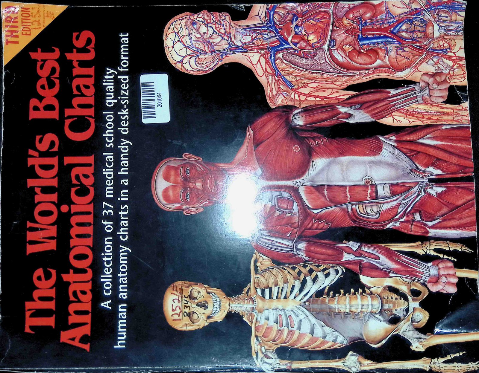 the World's Best Anatomical Charts