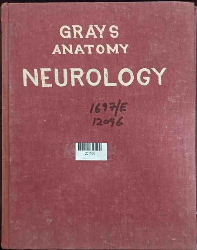 Grays Anatomy Neurology